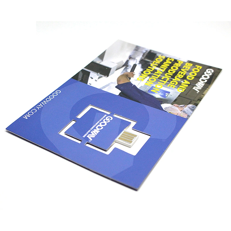 Customizable Advertising Webkey Promotional Gifts USB Flash Drive USB Flash Memory USB Pen Drive USB Flash Disk USB Drive USB Driver