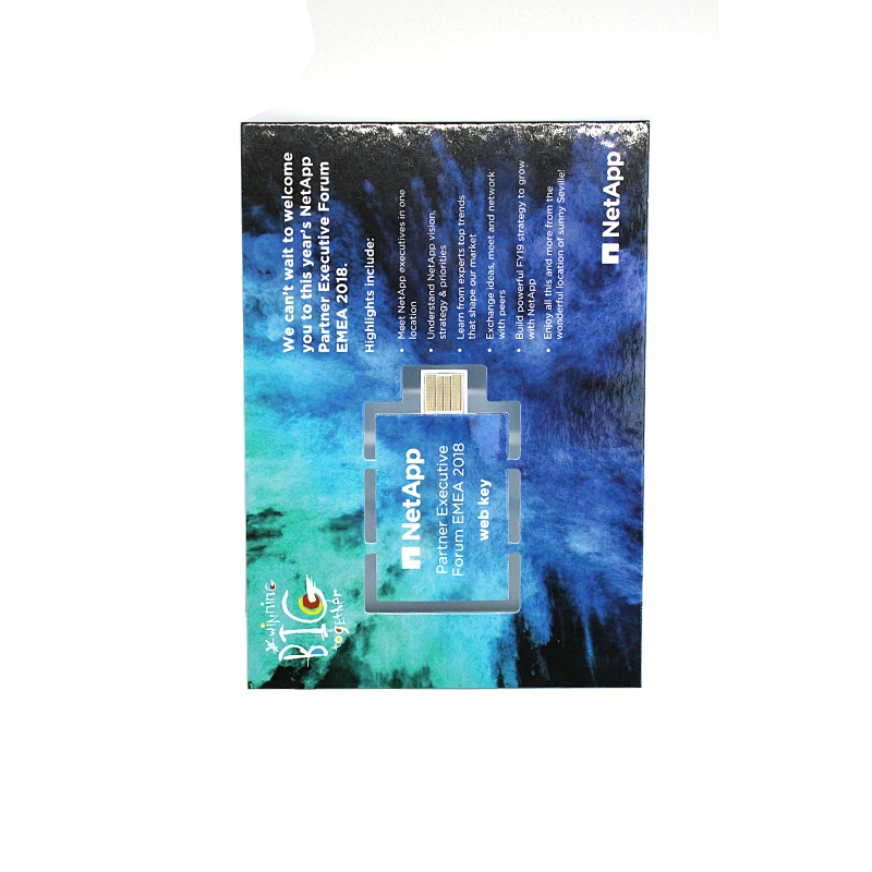 Customizable Advertising Webkey Environmentally Friendly Paper Promotional Gifts USB Flash Drive USB Flash Memory USB Pen Drive USB Flash Disk USB Drive