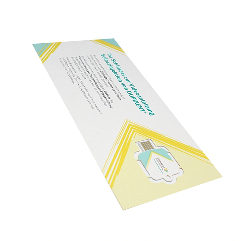 Business Advertising Promotion Gift Paper USB Stick Cmyk Printing USB Flash Drive/Flash Memory/USB Disk