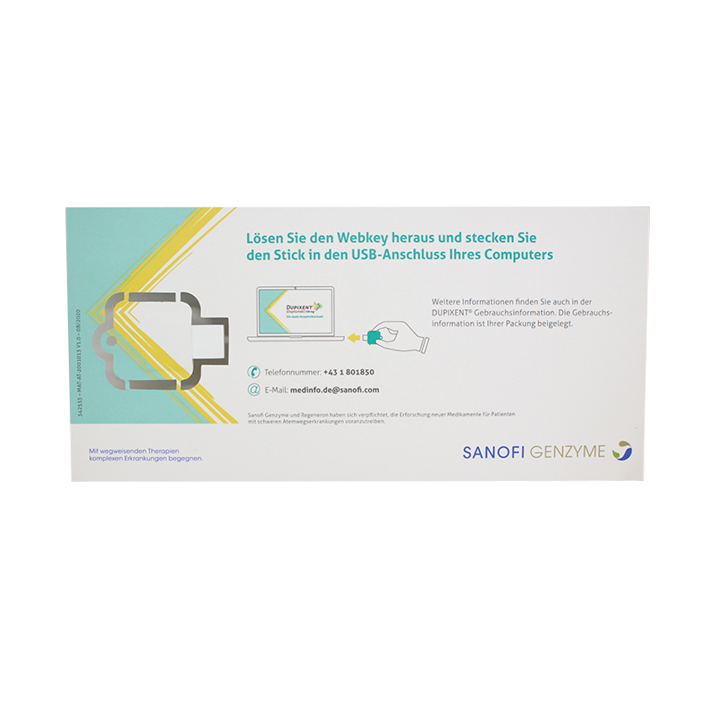 Business Advertising Promotion Gift Paper USB Stick Cmyk Printing USB Flash Drive/Flash Memory/USB Disk