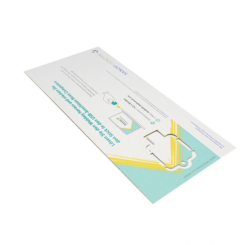 Business Advertising Promotion Gift Paper USB Stick Cmyk Printing USB Flash Drive/Flash Memory/USB Disk