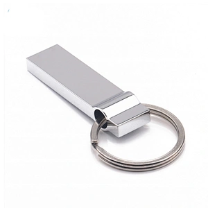 New Style Key Chain Metal Case 8GB 16GB USB Flash Disk USB Disk USB Flash Drive USB Stick