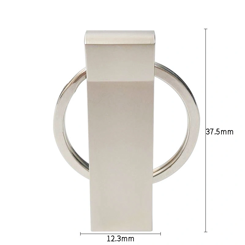 Hanging Ring Metal USB Disk Custom Printed Logo Key Chain Portable USB Flash Drive/USB Flash Memory/Pen Drive/USB Pen Drive