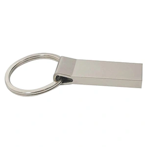 Hanging Ring Metal USB Disk Custom Printed Logo Key Chain Portable USB Flash Drive/USB Flash Memory/Pen Drive/USB Pen Drive