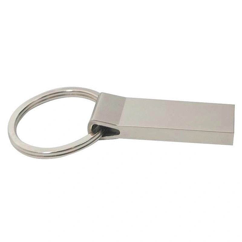 Hanging Ring Metal USB Disk Custom Printed Logo Key Chain Portable USB Flash Drive/USB Flash Memory/Pen Drive/USB Pen Drive