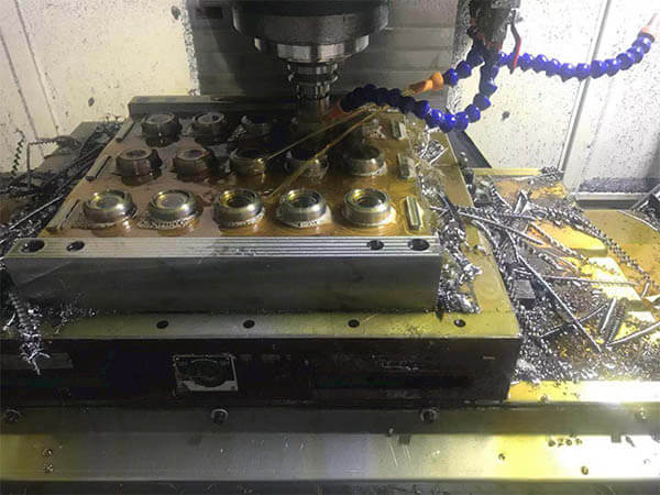 mold-1