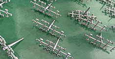 Injection Molding