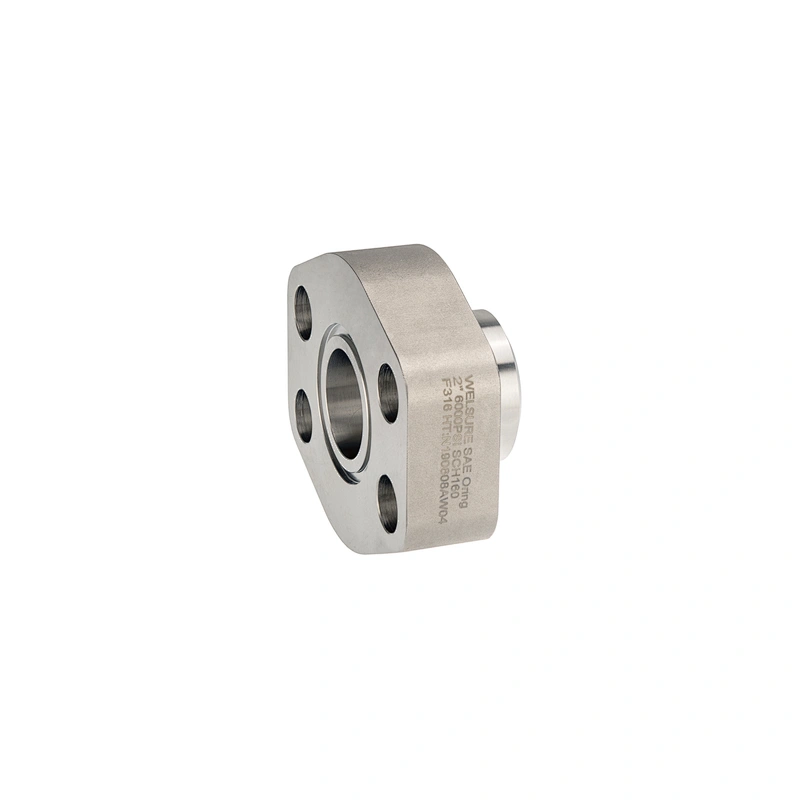 stainless steel flange