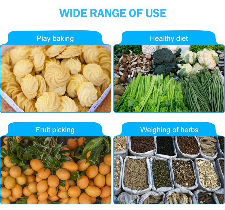 quality food scale