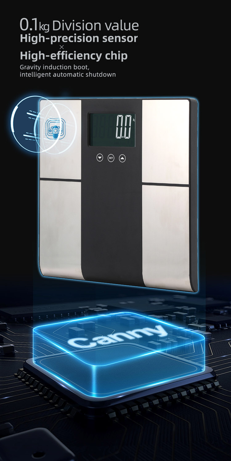 body mass scales