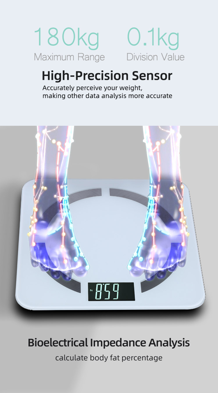 renpho rechargeable scale