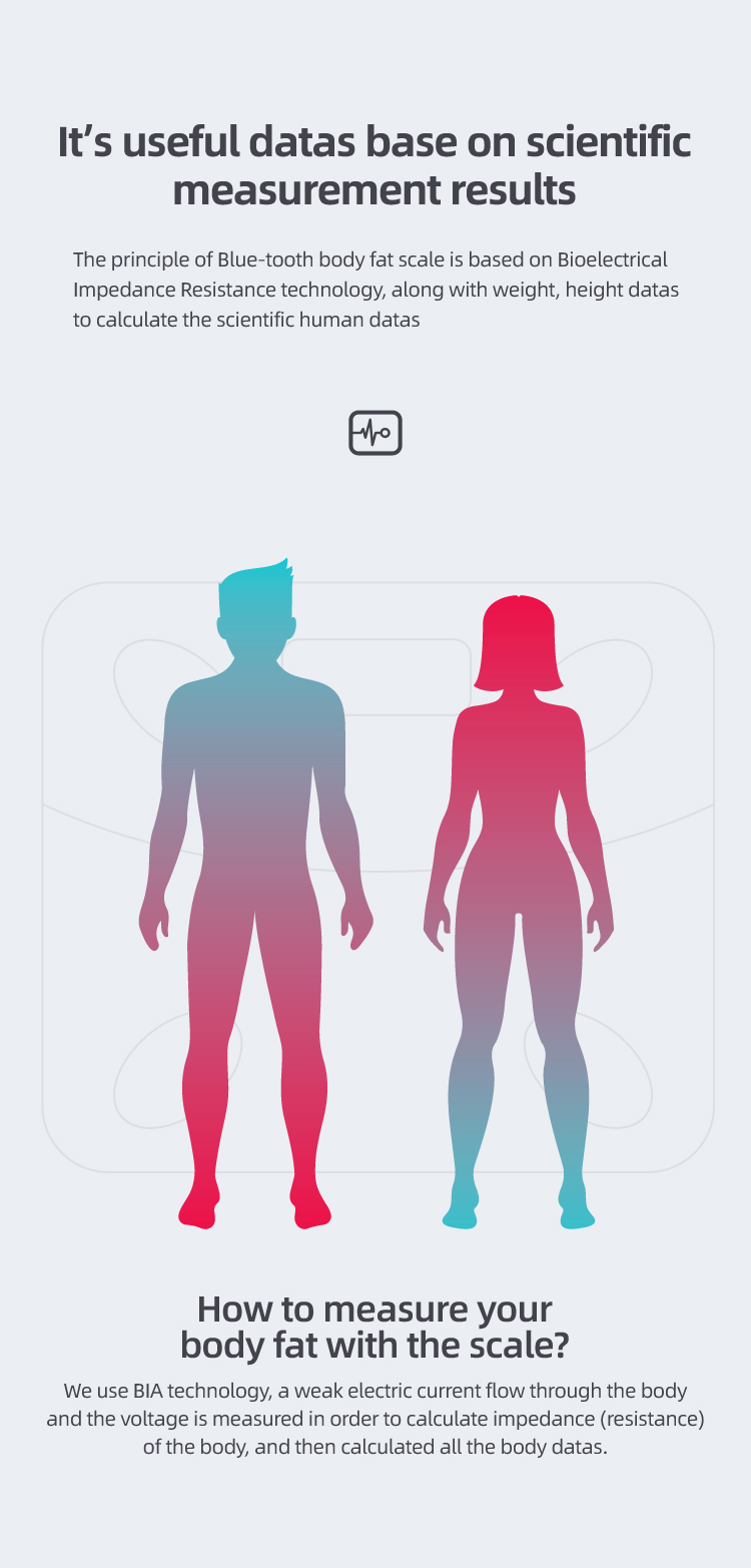 home use intelligent scale