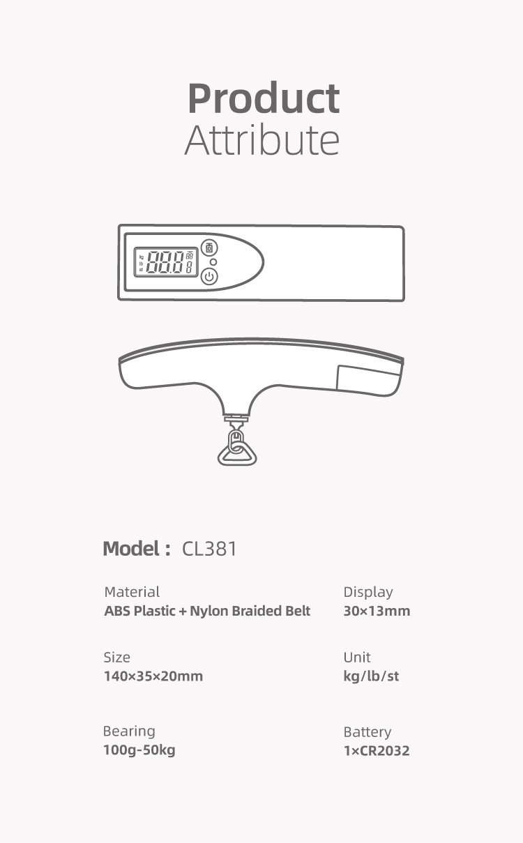 hand scale for luggage