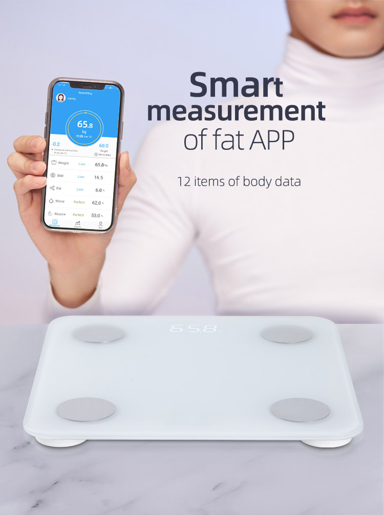 mi fit scale 2