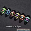 holo