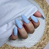 серебряная чешуйка