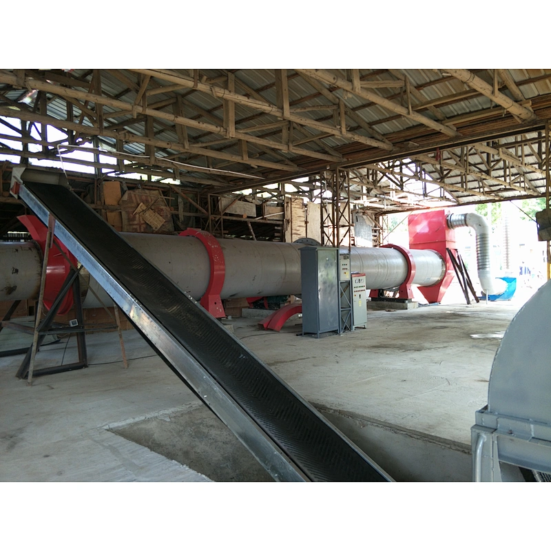 Biomass sawdust dryer