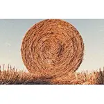 How to effectively use straw after it is banned from direct combustion