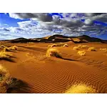Biomass pellet raw material in the desert