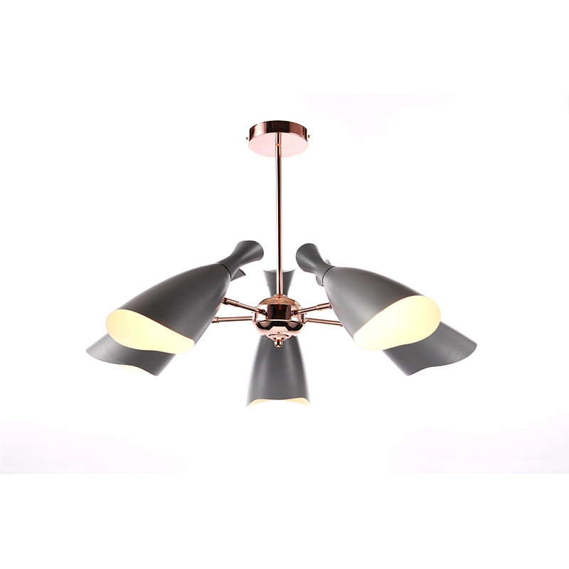 ceiling lamp