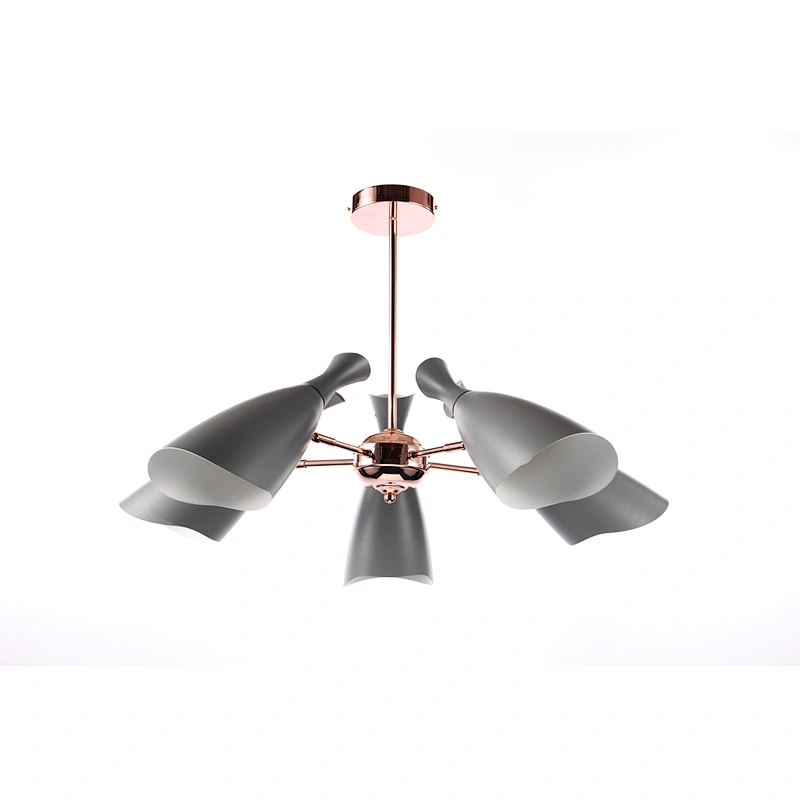 ceiling lamp