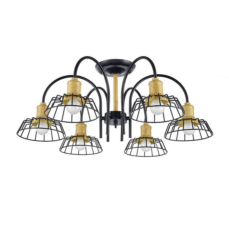 ceiling lamp