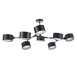 ceiling lamp