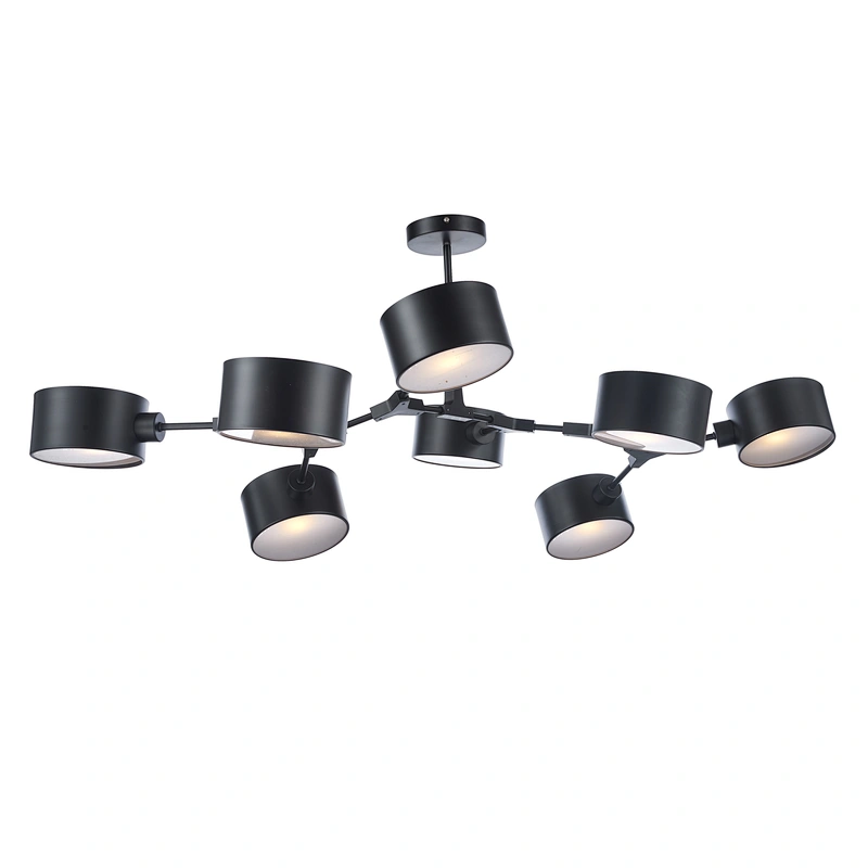 ceiling lamp