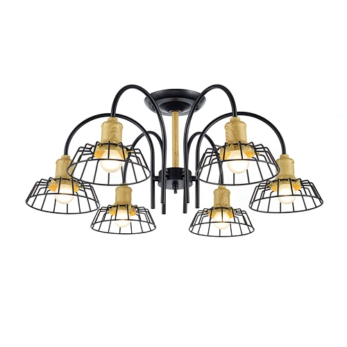 ceiling lamp