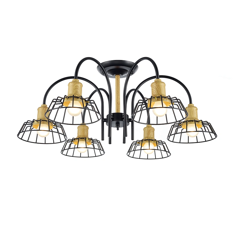 ceiling lamp
