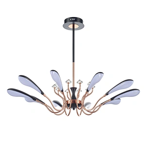 ceiling lamp
