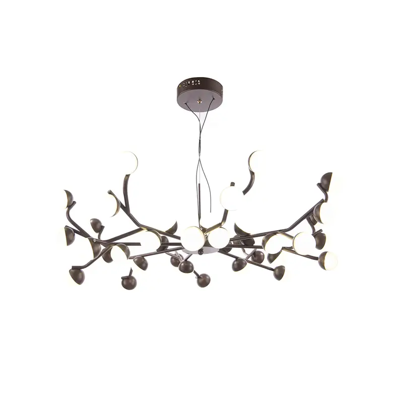 Ceiling Lamp MD3619-40C