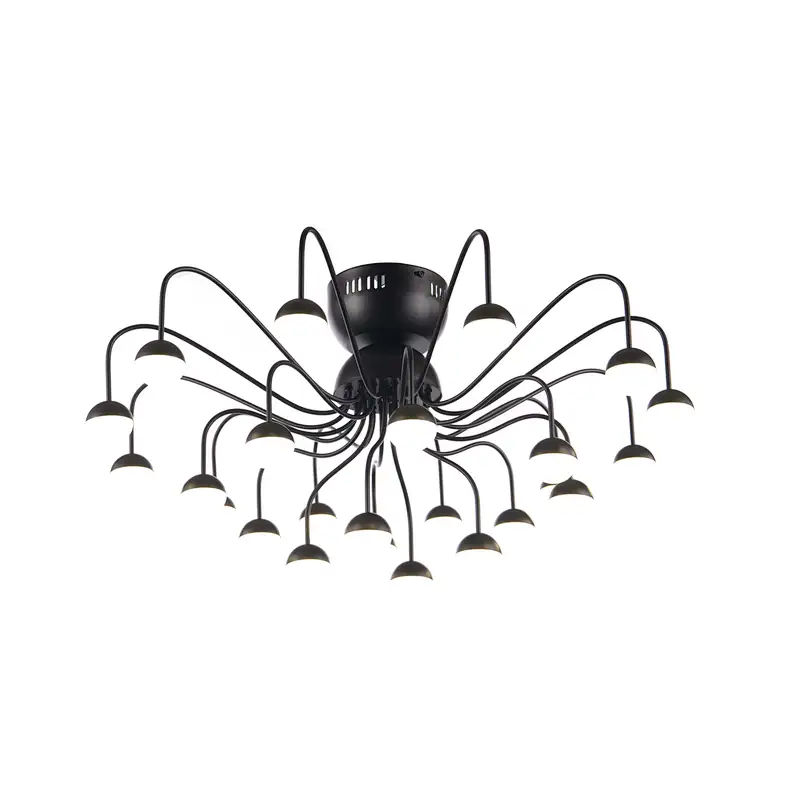 Ceiling Lamp MD3651-24B