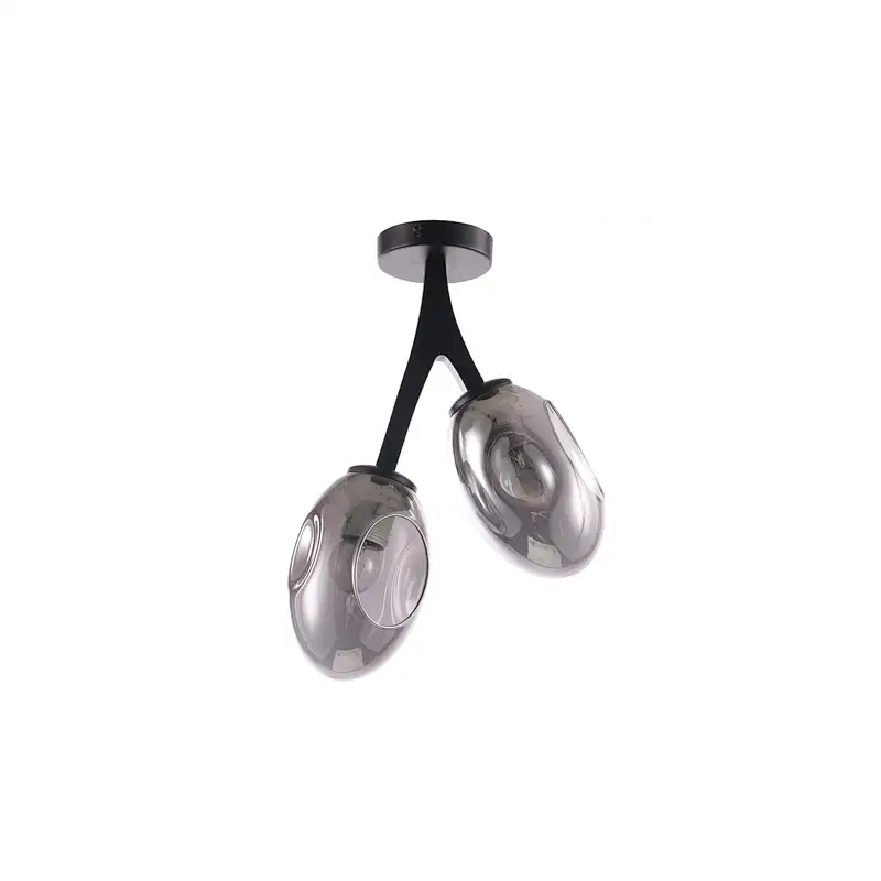 Ceiling Lamp MD3731-2A