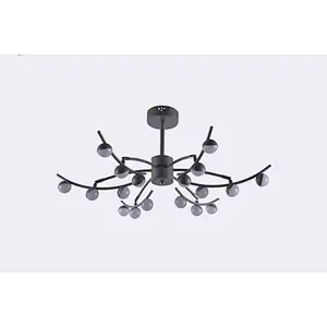Ceiling Lamp MD3803-18B