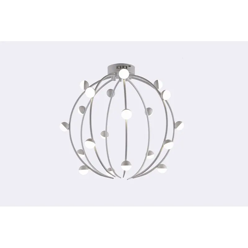 Ceiling Lamp MD3804-20C