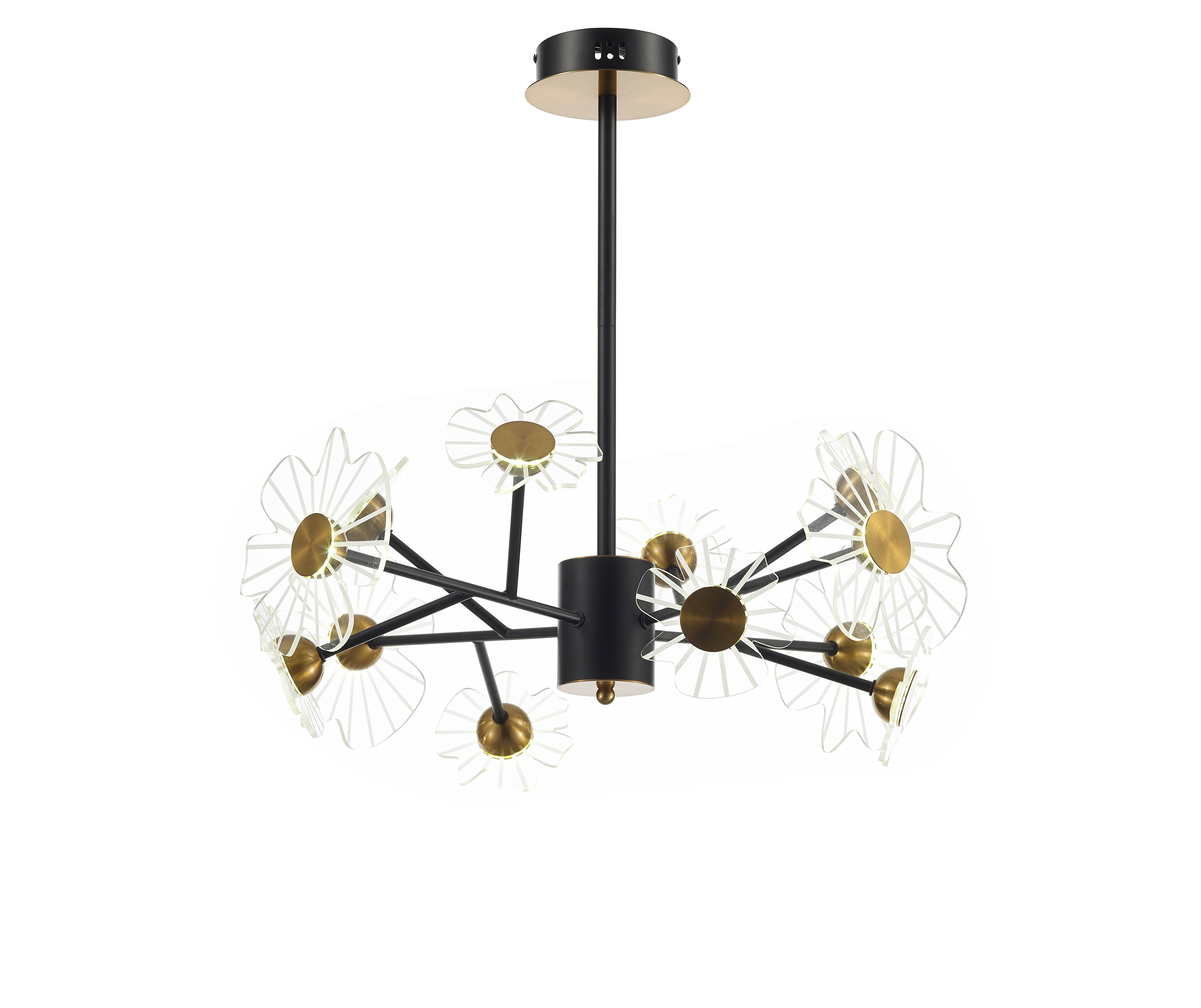 Ceiling Lamp MD3826-12B