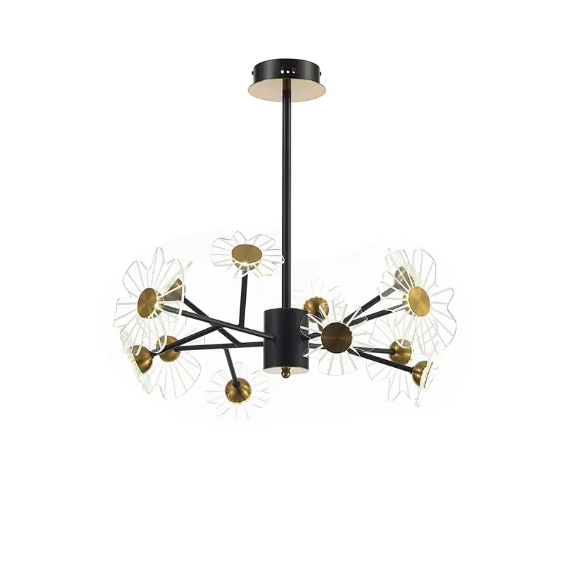 Ceiling Lamp MD3826-12B
