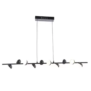 Ceiling Lamp MD3616-10B