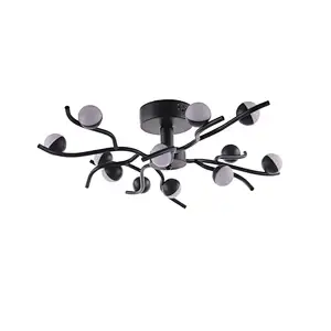 Ceiling Lamp MD3684-12B