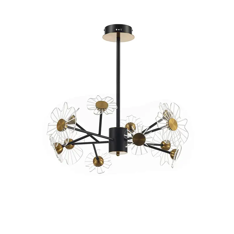 Ceiling Lamp MD3826-12B
