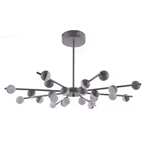 Ceiling Lamp MD3685-24C