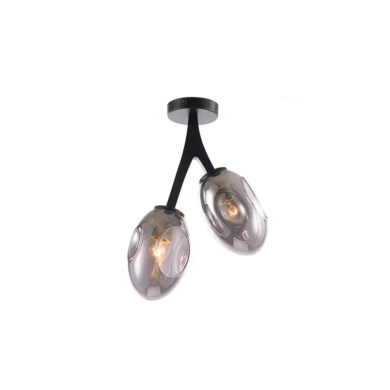Ceiling Lamp MD3731-2A