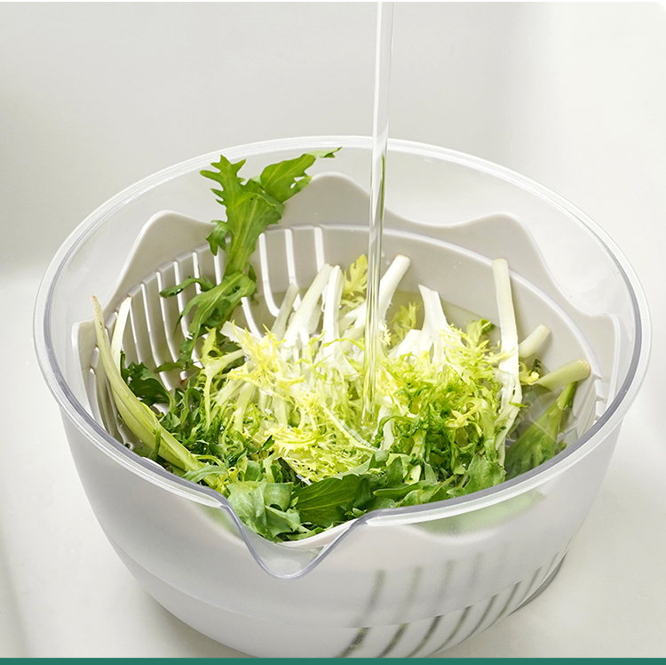 salad vegetable