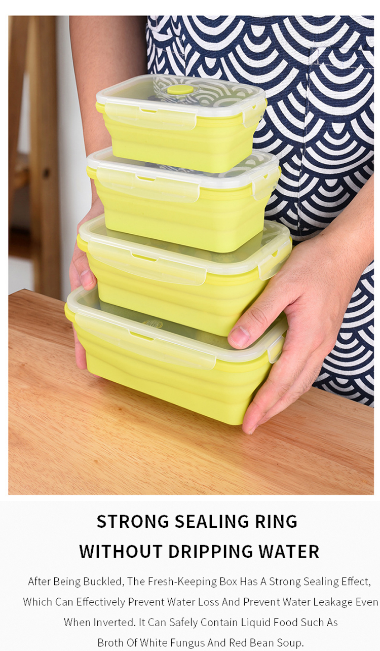 Silicone Lunch Box