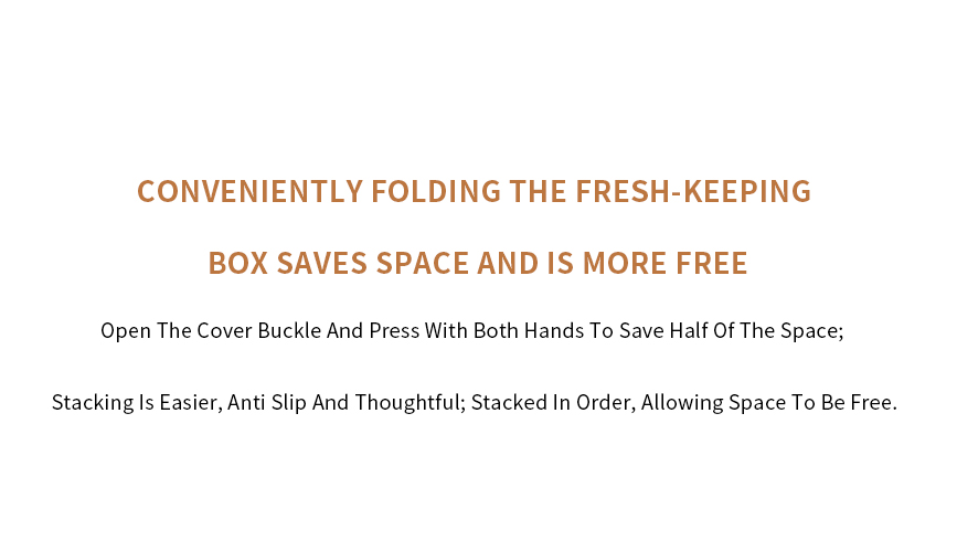 Silicone Bento Box