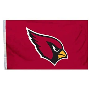 2x3 team flag