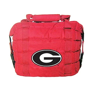 Cooling bag