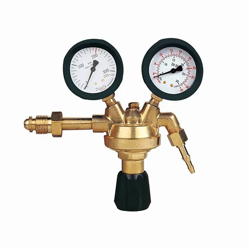 French Type Medium Duty Oxygen Pressure Regulator/Reducer Hot sale In Europe