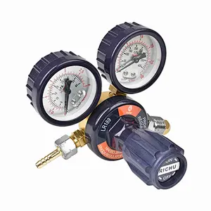 CO2 Heater Pressure Regulator 220V/36V With Flow Meter